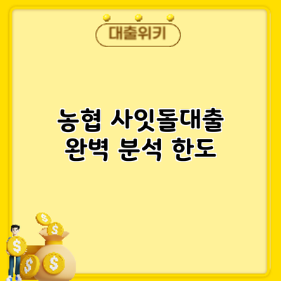 농협 사잇돌대출 완벽 분석: 한도