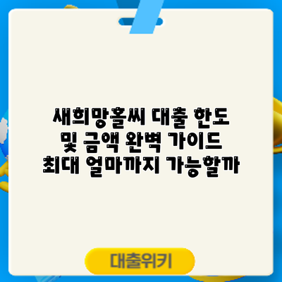새희망홀씨 대출 한도 및 금액 완벽 가이드: 최대 얼마까지 가능할까?