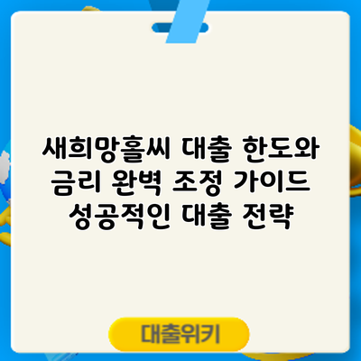 새희망홀씨 대출 한도와 금리 완벽 조정 가이드: 성공적인 대출 전략