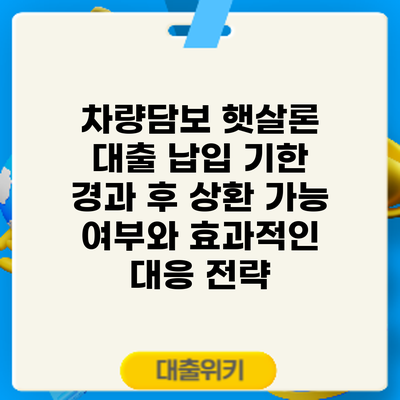 차량담보 햇살론 대출: 납입 기한 경과 후 상환 가능 여부와 효과적인 대응 전략