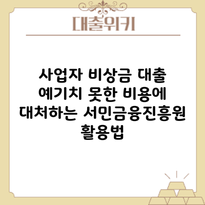 사업자 비상금 대출: 예기치 못한 비용에 대처하는 서민금융진흥원 활용법