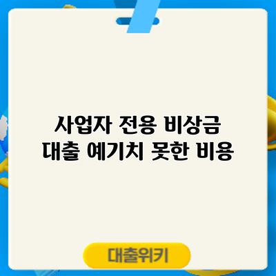 사업자 전용 비상금 대출: 예기치 못한 비용