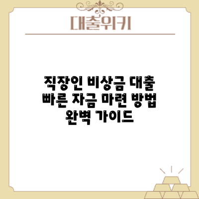 직장인 비상금 대출: 빠른 자금 마련 방법 완벽 가이드