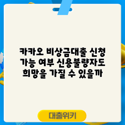카카오 비상금대출 신청 가능 여부: 신용불량자도 희망을 가질 수 있을까?